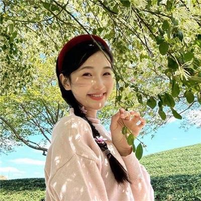 羊与钢之森