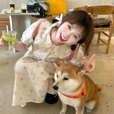 灵书妙探第四季